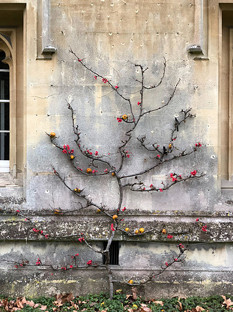 180216-20_OxfordLondonUKTrip_A0568