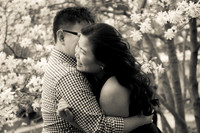 Kristin + David :: millennium park, chicago