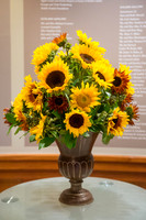 131009_BankOfAmericaPhillipsCollection_A0018