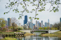 Lincoln Park & South Lake