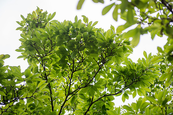 160505_PhillipsAfter5SavingNature_A0007